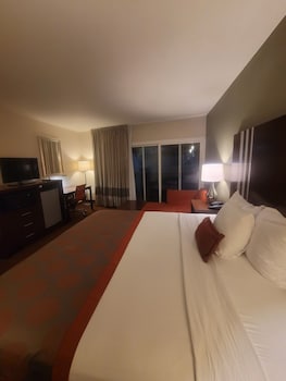 Room, 1 King Bed, Non Smoking