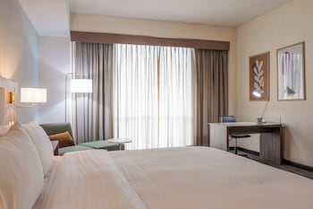 Premium Room, 1 King Bed (Walk-In Shower)