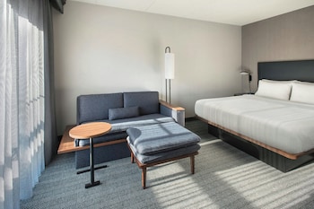 Room, 1 King Bed with Sofa bed (Mobility Accessible, Roll-in Shower)