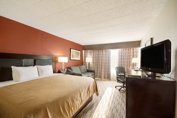 Standard Single Room, 1 King Bed with Sofa bed, Non Smoking