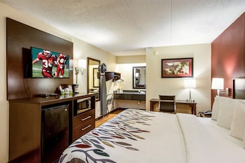 Superior Room, 1 King Bed, Non Smoking
