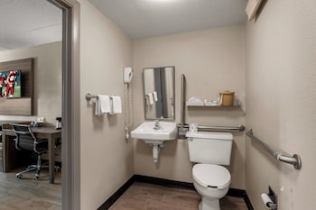 Superior Room, 1 King Bed, Accessible, Non Smoking (Roll-In Shower)