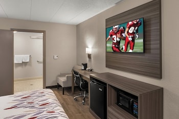 Superior Room, 1 King Bed, Accessible, Non Smoking (Roll-In Shower)
