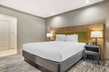 Room, 1 King Bed, Accessible, Non Smoking