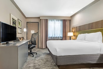 Room, 1 King Bed, Accessible, Non Smoking (Roll-in Shower)