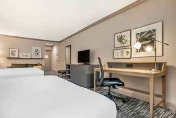 Studio Suite, Multiple Beds, Non Smoking