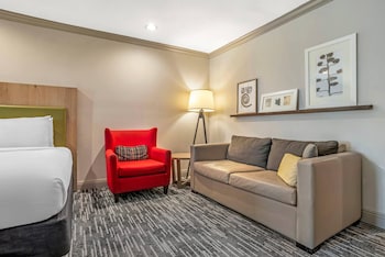 Studio Suite, Multiple Beds, Non Smoking