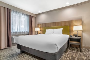 Room, 1 King Bed, Accessible, Non Smoking (Roll-in Shower)