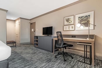 Premium Room, 1 King Bed, Non Smoking