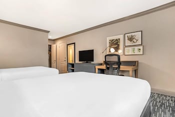 Room, 2 Queen Beds, Non Smoking