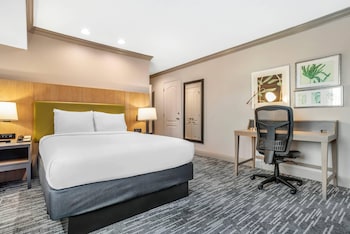 Room, 1 Queen Bed, Non Smoking