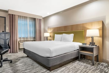 Room, 1 King Bed, Non Smoking