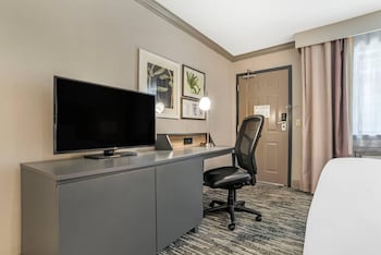 Room, 1 King Bed, Accessible, Non Smoking (Roll-in Shower)