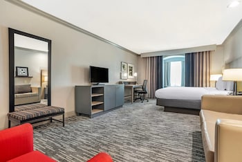 Studio Suite, 1 King Bed with Sofa bed, Non Smoking