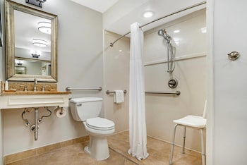 Room, 1 King Bed, Accessible, Non Smoking (Roll-in Shower)