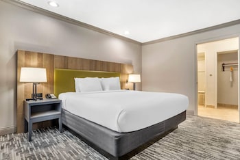 Room, 1 King Bed, Accessible, Non Smoking (Roll-in Shower)