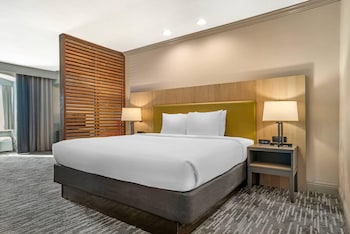 Suite, 1 King Bed, Non Smoking (Exterior Corridor)