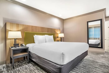 Room, 1 King Bed, Non Smoking