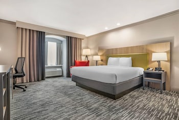 Premium Room, 1 King Bed, Non Smoking