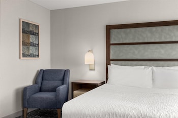 King, Presidential Suite, 1 Bedroom, Non Smoking