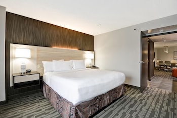 Suite, 1 King Bed, Microwave (Conference)