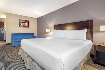 Standard Room, 1 King Bed, Non Smoking, Refrigerator & Microwave (Larger Room;with Sofabed)