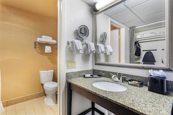Standard Room, 1 King Bed, Patio, Poolside