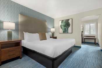 Suite, 1 King Bed, Accessible, Non Smoking (Walk-in Shower;with Sofabed)