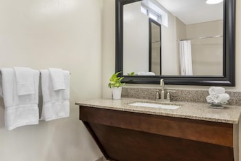 Suite, 1 King Bed, Accessible, Non Smoking (Walk-in Shower;with Sofabed)