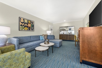 Suite, 1 King Bed, Non Smoking, Kitchen (with Sofabed)