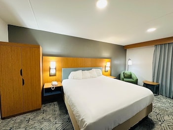 Room, 1 King Bed, Mobility Accessible, Non Smoking (Chair-Shower)