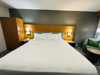Room, 1 King Bed, Mobility Accessible, Non Smoking (Chair-Shower)