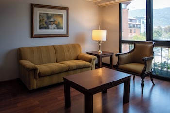 Premium Suite, 1 King Bed (Suite 1 Room King Bed)