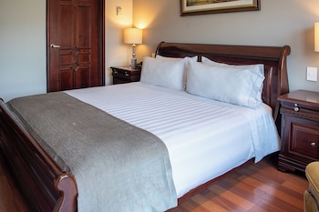Premium Suite, 1 King Bed (Suite 1 Room King Bed)