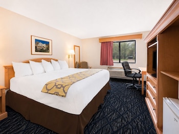 Room, 1 King Bed, Non Smoking