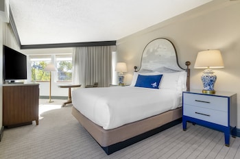 Suite, 1 King Bed