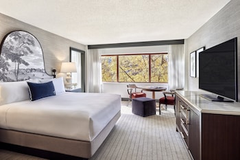 Suite, 1 King Bed