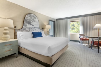 Suite, 1 King Bed