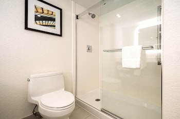 Room, 1 King Bed