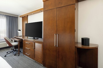 Room, 1 King Bed with Sofa bed
