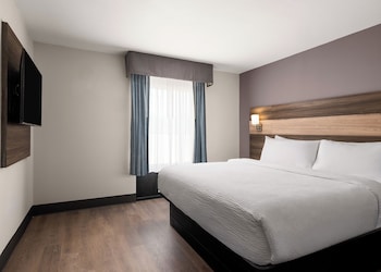 Suite, 1 Bedroom