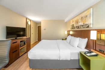 Room, 1 King Bed with Sofa bed, Accessible, Non Smoking