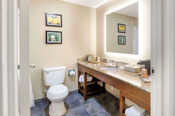 Suite, 1 King Bed with Sofa bed, Non Smoking