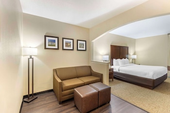 Suite, 1 King Bed with Sofa bed, Non Smoking