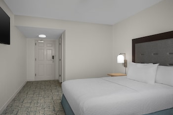 1 King Bed, Accessible (Roll-in Shower)