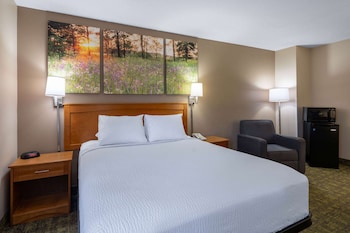 Room, 1 Queen Bed, Accessible, Non Smoking (Mobility Accessible)
