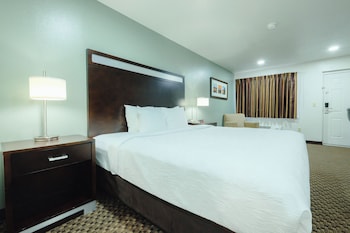 Room, 1 King Bed, Non Smoking