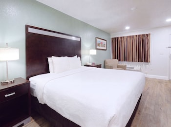 Room, 1 King Bed, Non Smoking