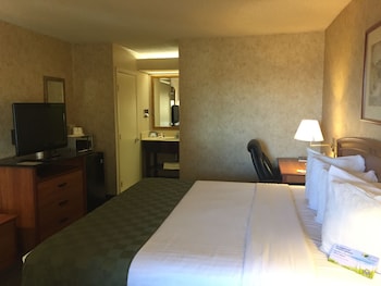Room, 1 King Bed, Non Smoking