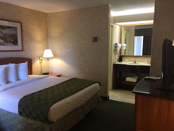 Room, 1 Double Bed, Non Smoking